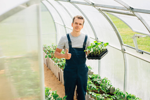 Handsome cheerful young gardener in overall standing with seedlings in greenhouse. Portrait of joyful farmer. - Фото, изображение