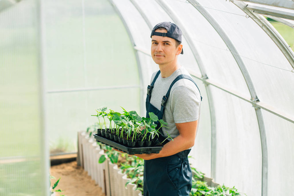 Handsome cheerful young gardener in overall standing with seedlings in greenhouse. Portrait of joyful farmer. - Фото, изображение
