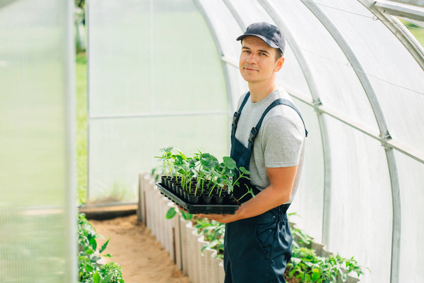 Handsome cheerful young gardener in overall standing with seedlings in greenhouse. Portrait of joyful farmer. - Фото, зображення