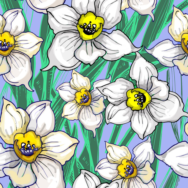 Patrón sin costura botánica con inflorescencias de flores narcisos
 - Vector, Imagen