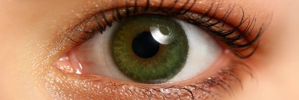 Weibchen links smaragdgrün gefärbte Augen extreme Nahaufnahme - Foto, Bild