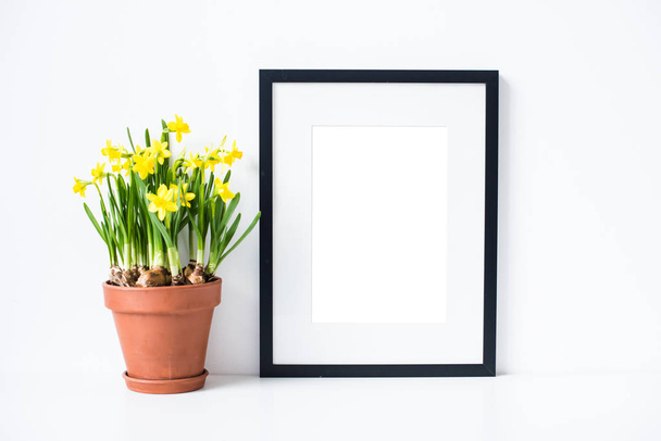 Bahar sarı nergis çiçek ve çerçeve izole mock-up ile ev dekorasyonu - Fotoğraf, Görsel