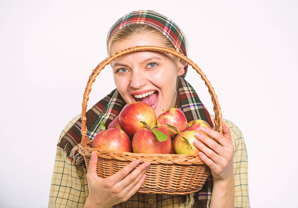 Conceito de dieta saudável. Mulher jardineiro estilo rústico segurar cesta com maçãs no fundo branco. Mulher aldeão transportar cesta frutas naturais. Lady agricultor jardineiro cuidado com a vitamina nutrição saudável
 - Foto, Imagem