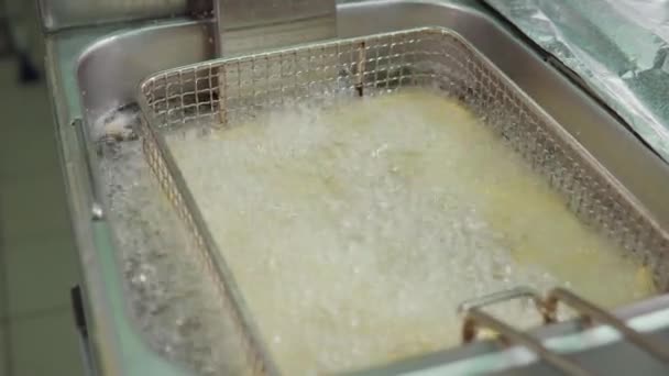 Французька картопля смаження в глибокій Фрайер, плита виймає і знижуючи назад - Кадри, відео