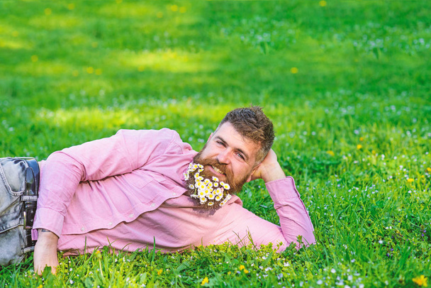 Man with beard on smiling face enjoy nature. Masculinity concept. Hipster with daisies in beard looks attractive. Bearded man with daisy flowers lay on meadow, lean on hand, grass background - Foto, afbeelding
