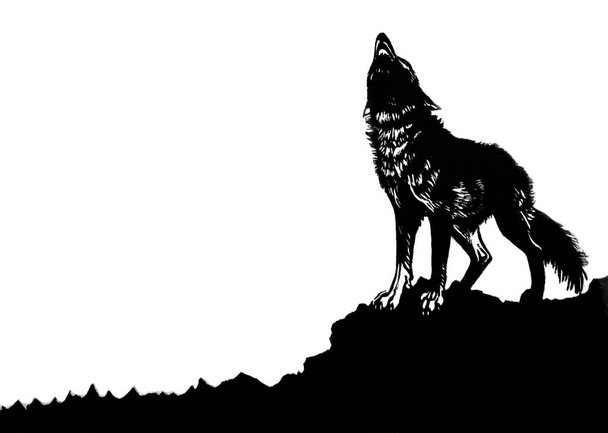 Een afdruk van de houtsnede van een huilende wolf staande op een rots. Zwart-wit. - Foto, afbeelding