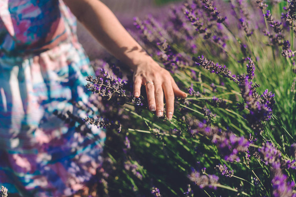 Girl Hand Touching Lavender Blossom - Foto, afbeelding