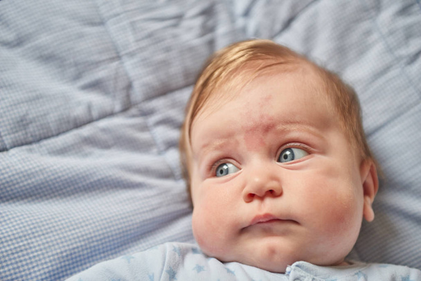 Portret of a baby in blue toddlers - Φωτογραφία, εικόνα