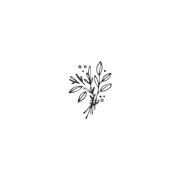 Vector hand drawn object, a sbunch of spices. Kitchen logo element. - Вектор, зображення