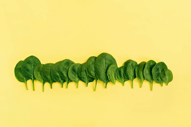 Creative layout made of green fresh vegetarian salad leaves on yellow background. - Fotoğraf, Görsel