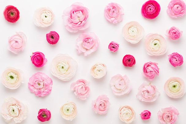 Beautiful colored ranunculus flowers on a white background. Spri - Foto, afbeelding