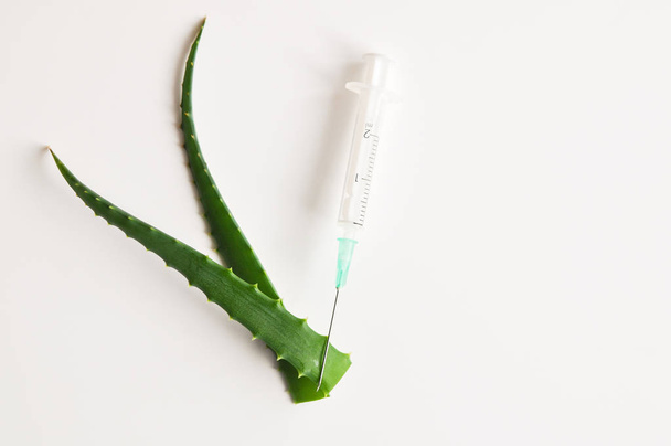 Aloe stems and syringe needle on white background. The secret of youth and beauty. - Photo, Image