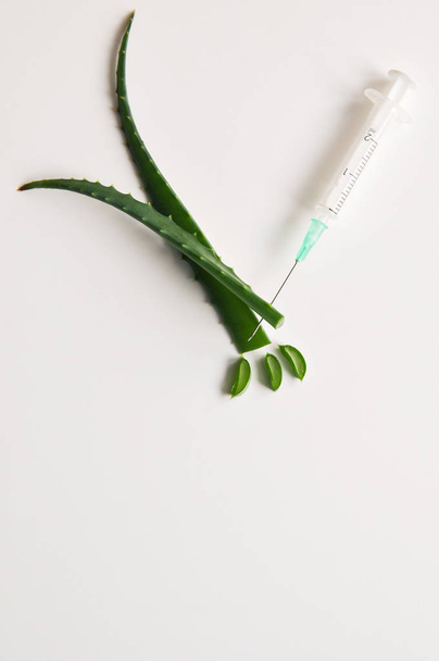 Aloe stems and syringe needle on white background. The secret of youth and beauty. Copyspace. - Photo, Image