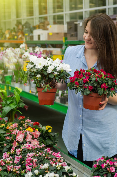 Kaunis naispuolinen asiakas tuoksuva värikäs kukkivat kukkaruukut vähittäiskaupassa
.  - Valokuva, kuva