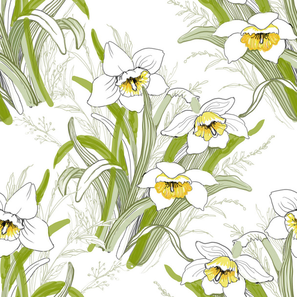 blooming narcissus flowers - Foto, imagen