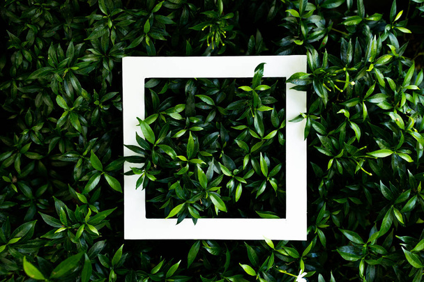 tropical leaf texture with design - Фото, изображение