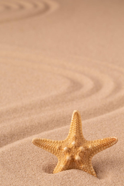 1 つの単一の海の星またはヒトデ熱帯のビーチの砂の上。夏の休暇のための概念。サンディ背景の空スペースで. - 写真・画像