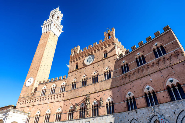 Wieża Torre del Mangia w Sienie, Toskania - Zdjęcie, obraz