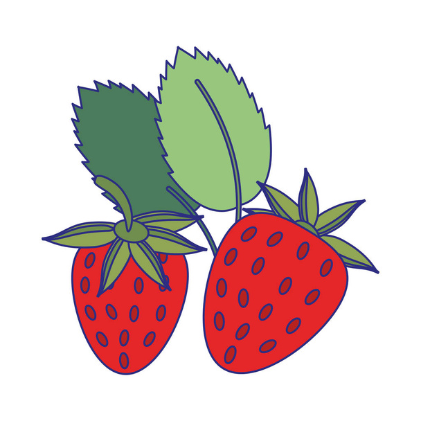strawberries fruit fresh food blue lines - Vector, Image
