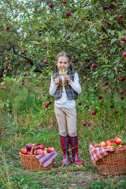 Portrait of a cute girl in a farm garden with a red apple. - Photo, Image