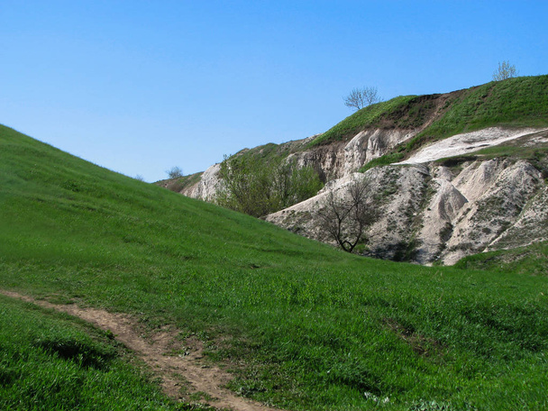 Крейдяні пагорби зі стежками, свіжа зелена трава та дерева
 - Фото, зображення