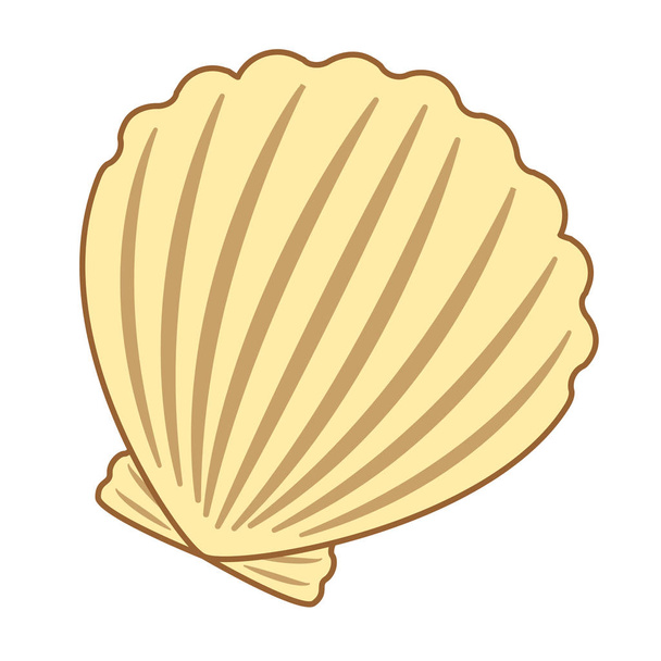 Shell flat illustration on white - Vetor, Imagem