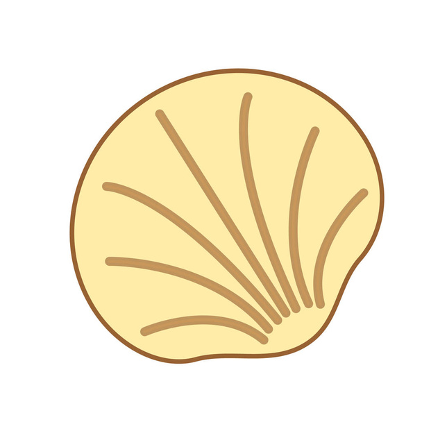 Shell flat illustration on white - Vector, imagen