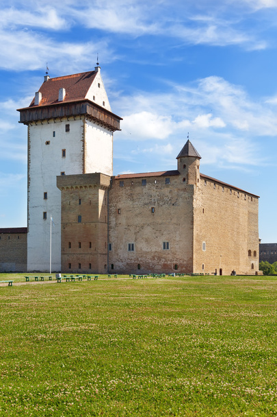 Estonia. Narva. Ancient fortress on border with Russia - Zdjęcie, obraz