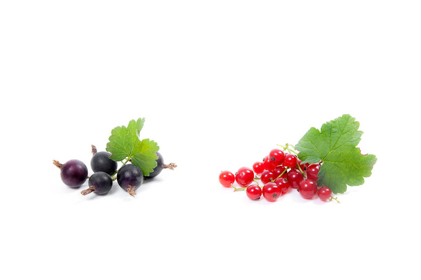 Black and red currant berry isolated on white. A bunch of black  - Photo, Image