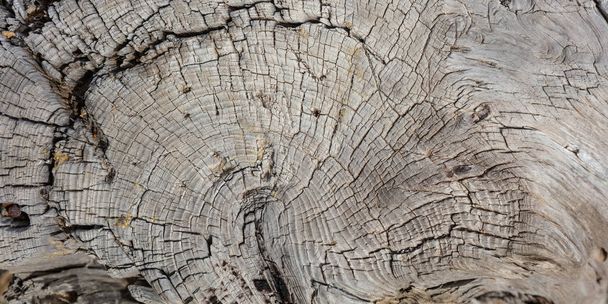 Fa láda fa háttér, régi viharvert szürke színű fából készült stump - Fotó, kép