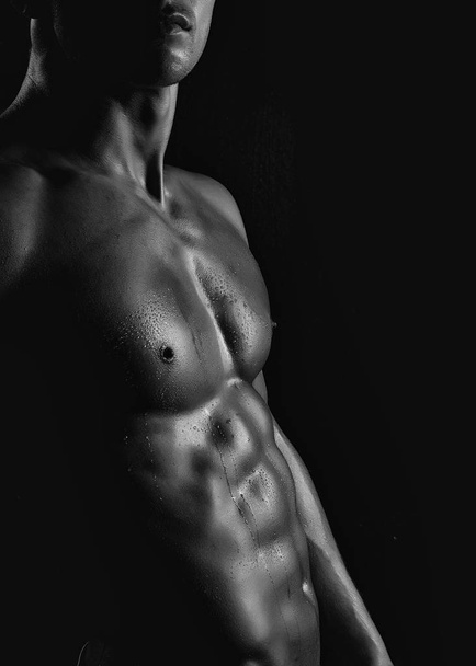 Male muscular torso - 写真・画像