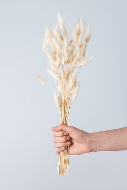 Hand holding a bouquet of grass ears - Foto, Imagem