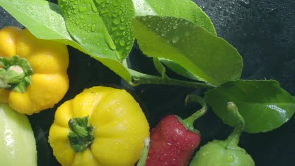 Sebze, patlıcan ve biber su damlaları karanlık bir yüzey üzerinde - Video, Çekim