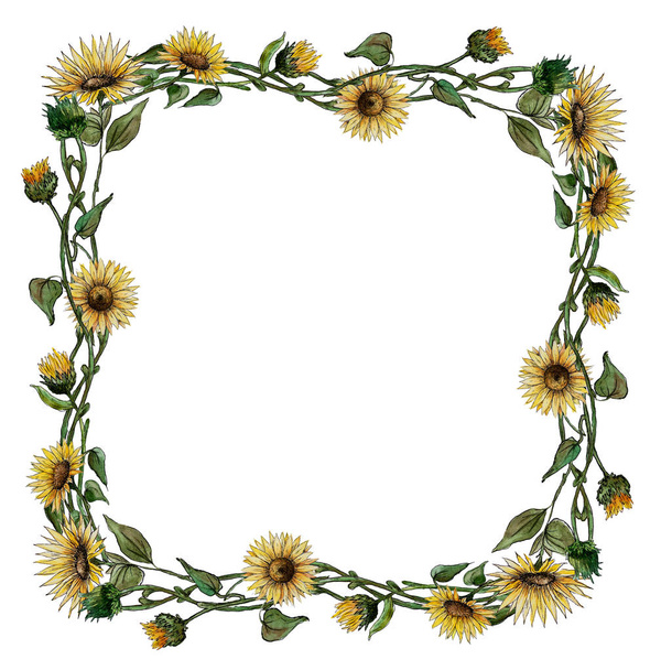 square wreath  frame of flowers of buds of leaves of stalks of a sunflower  - Foto, immagini