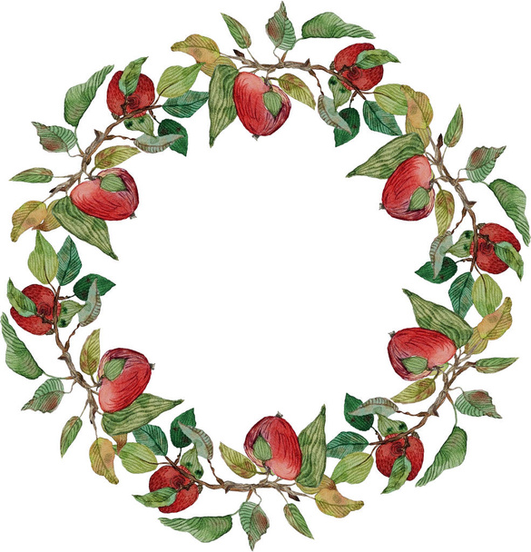 wreath red apples leaves branches ornament   isolated - Valokuva, kuva
