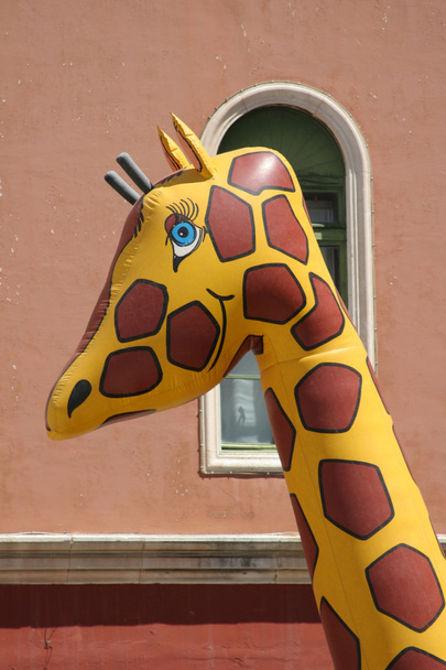 aufblasbare Giraffe - Foto, Bild
