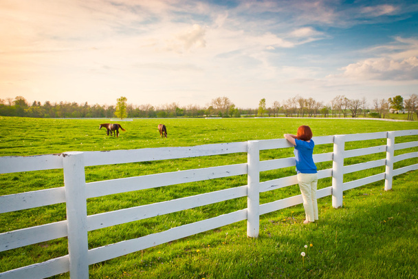 Жінка насолоджується видом на сільську місцевість з зеленими пасовищами і конем
 - Фото, зображення