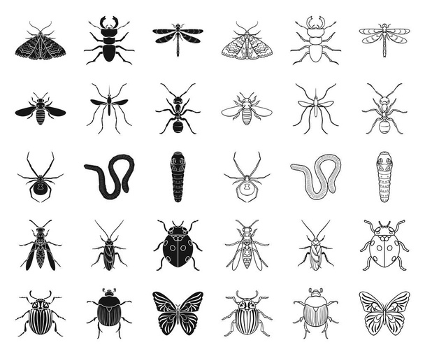 Different kinds of insects black,outline icons in set collection for design. Insect arthropod vector symbol stock web illustration. - Vecteur, image