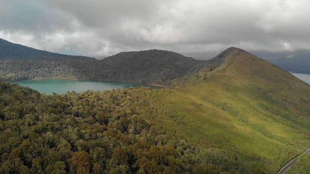 Lake Rotoaira ve çevresindeki ormanda Tongariro havadan görünümü - Fotoğraf, Görsel