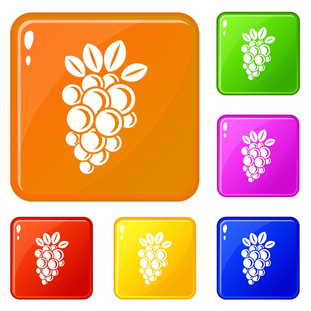 Isabella grape icons set vector color - Vector, Imagen