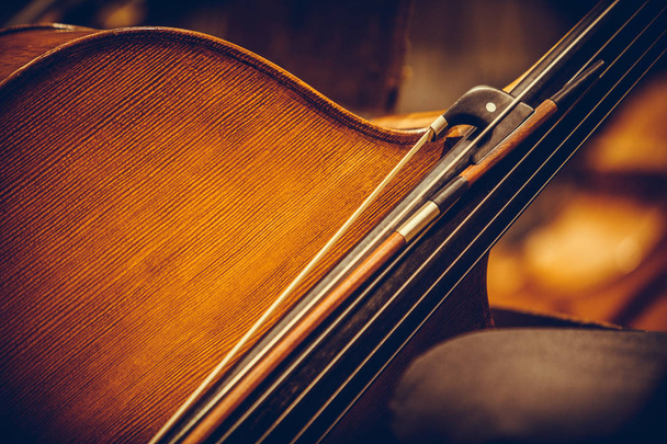 Double bass and bow - Photo, Image