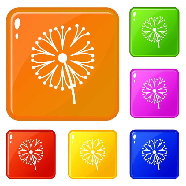 Dandelion plant icons set vector color - Vetor, Imagem