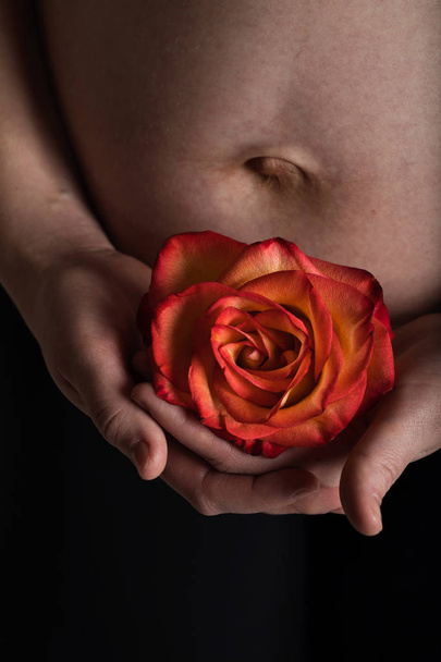 jonge zwangere vrouw houdt natuurlijke roos bloesem dicht bij haar bel - Foto, afbeelding