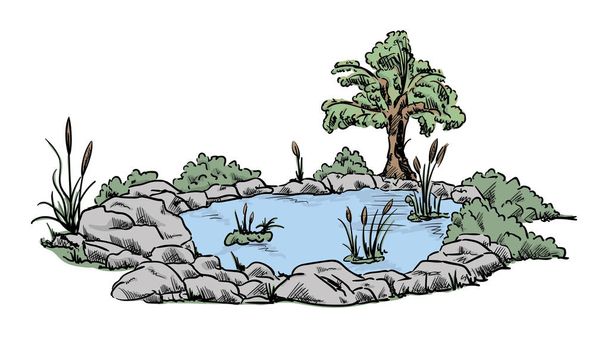 small garden pond - Vector, Image