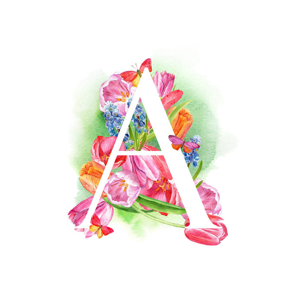 Carta A Una letra del alfabeto con flores de primavera, tulipanes muscari, para invitaciones, tarjetas, bodas y más
. - Foto, Imagen