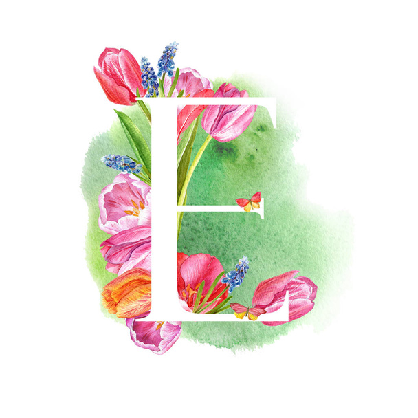Una lettera dell'alfabeto con fiori primaverili, tulipani muscari, per inviti, biglietti, matrimoni e altro ancora
. - Foto, immagini