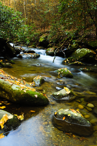 lassú mozgó creek - Fotó, kép