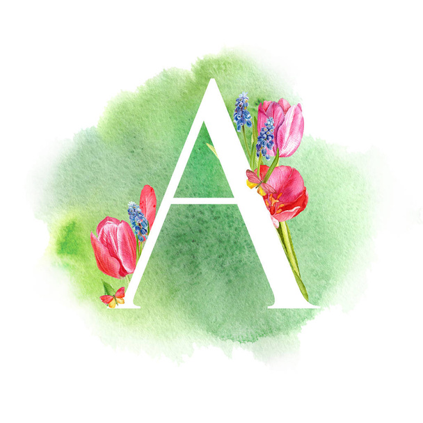 Letter A. A letter of the alphabet with spring flowers, muscari tulips, for invitations, cards, weddings and more. - Valokuva, kuva