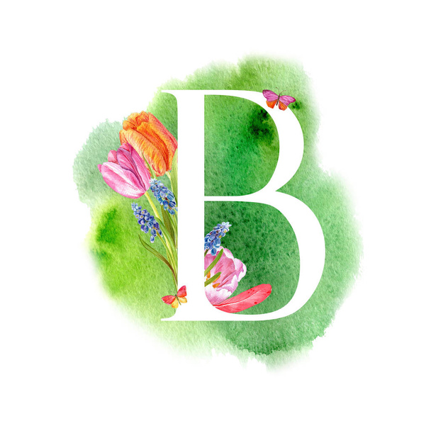 Letter B. A letter of the alphabet with spring flowers, muscari tulips, for invitations, cards, weddings and more. - Photo, image
