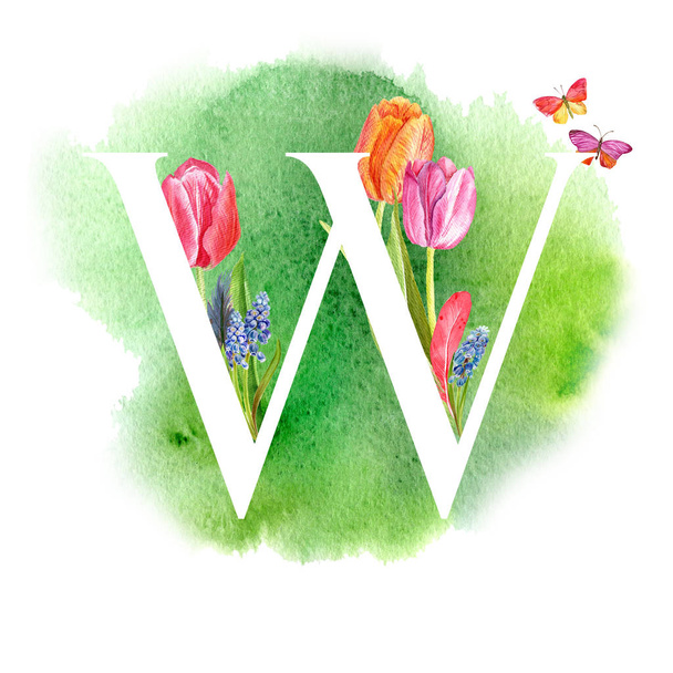 Letter W. A letter of the alphabet with spring flowers, muscari tulips, for invitations, cards, weddings and more. - Photo, Image